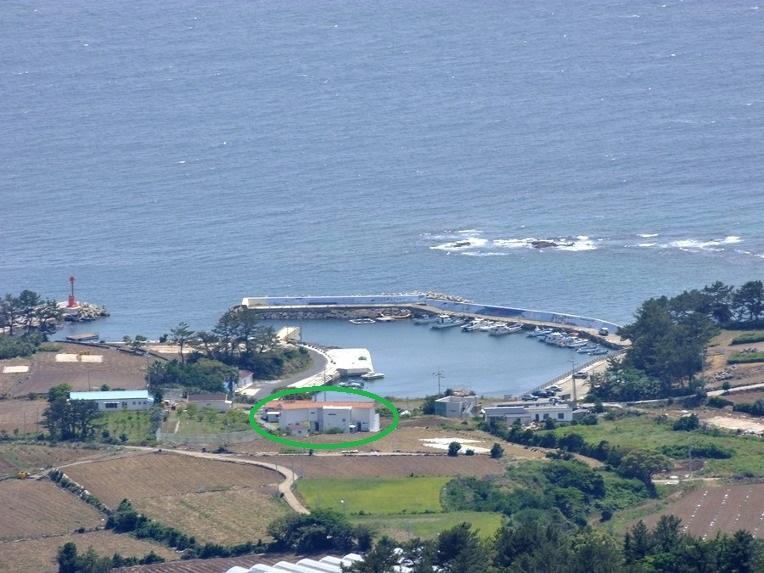 JEJU Doldam B&B Seogwipo Exterior foto